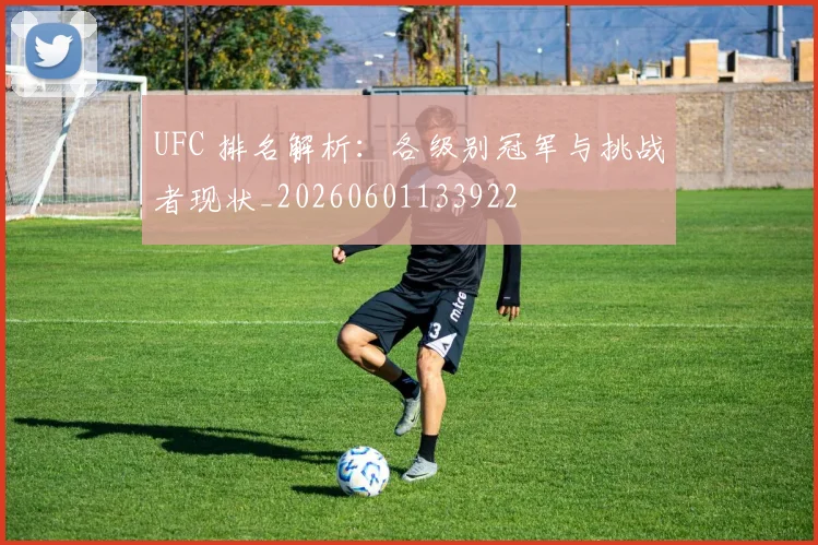UFC 排名解析:各级别冠军与挑战者现状_20260601133922
