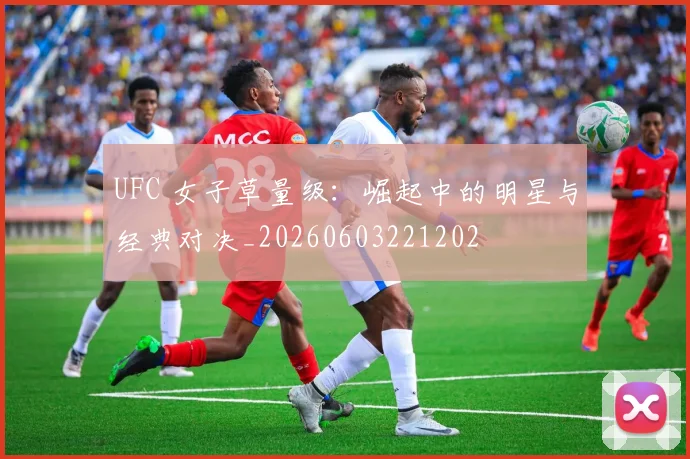 UFC 女子草量级：崛起中的明星与经典对决_20260603221202